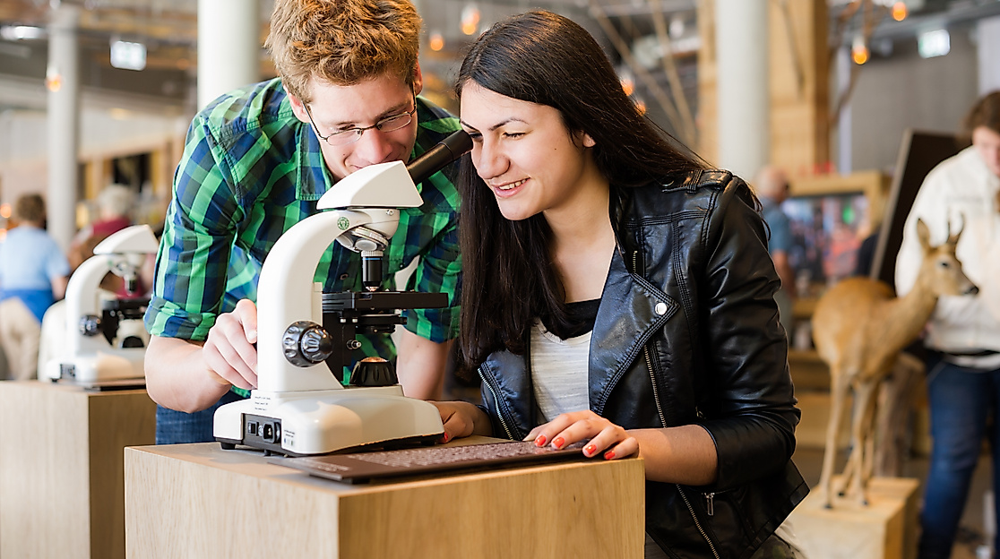 20130606_waelderhaus_ARLT-004