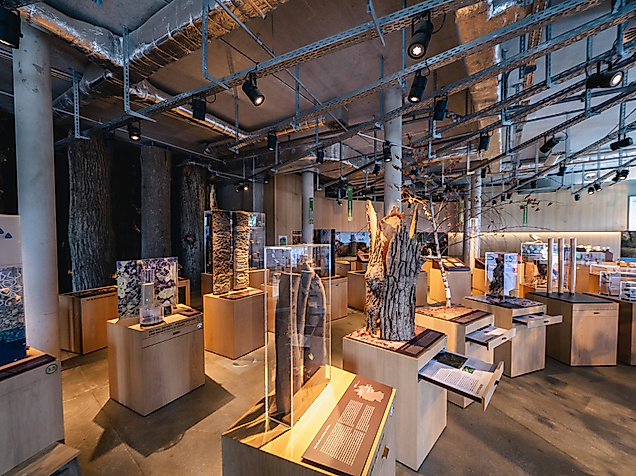 Science Center im Wälderhaus