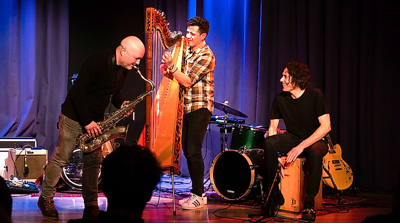 saxyarpa - Soul-, Pop-, Folk-, Flamenco und Jazzkonzert