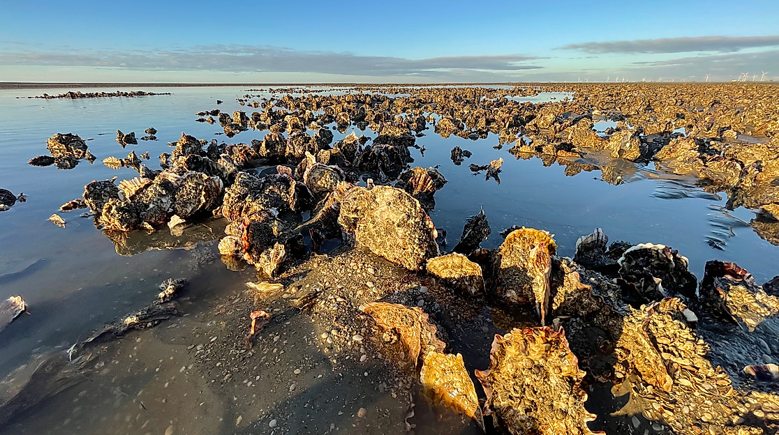 Wattführung "Lichtmomente"