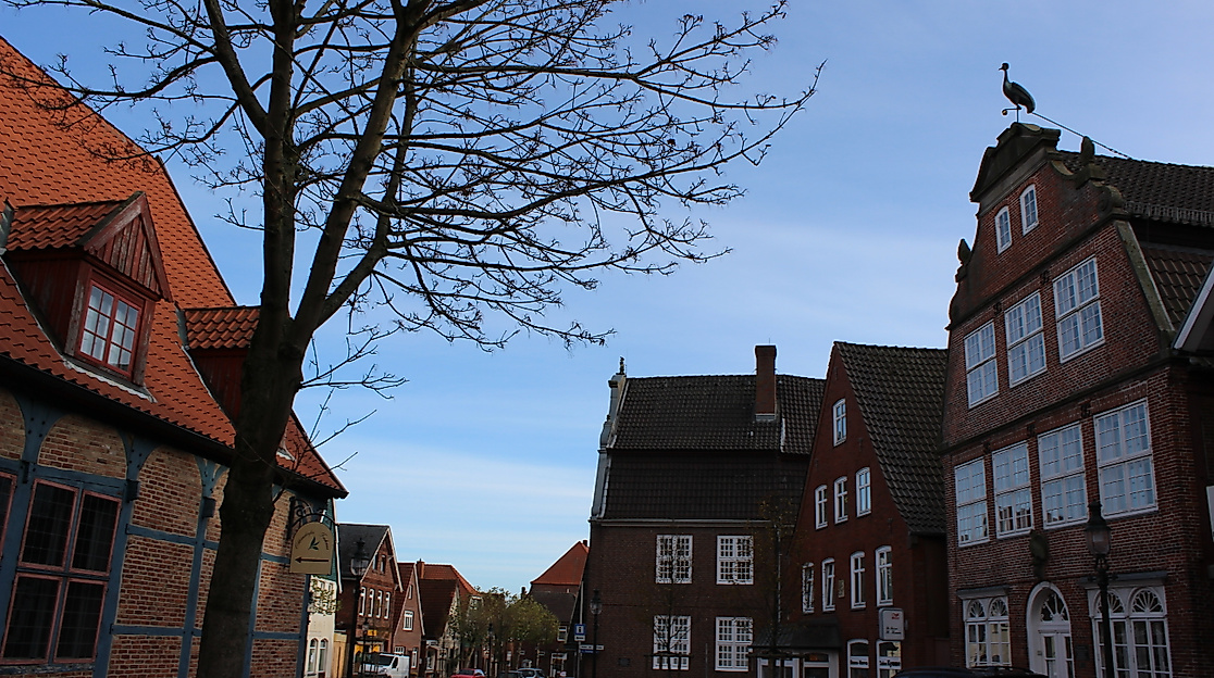 Führung Stiftung und Stiftungshaus Naturschutzstiftung des Landkreises Cuxhaven Ahlenmoor mit Kerstin Norda
