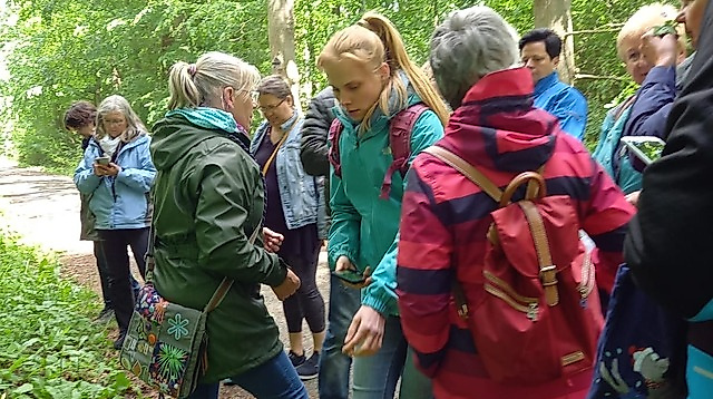 Kräuterwanderung