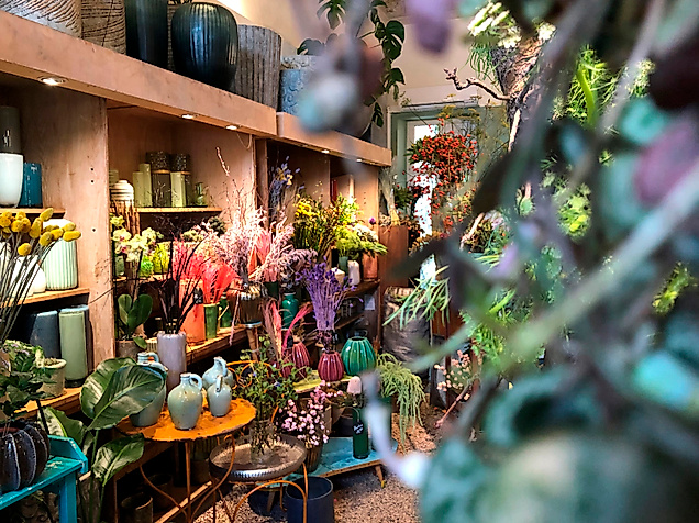 Grüne Flora in der Schanze