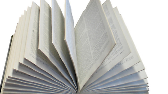 Gespräch zu biblischen Themen