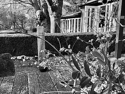 Konzert im Arboretum Melzingen - Konzert im Arboretum Melzingen