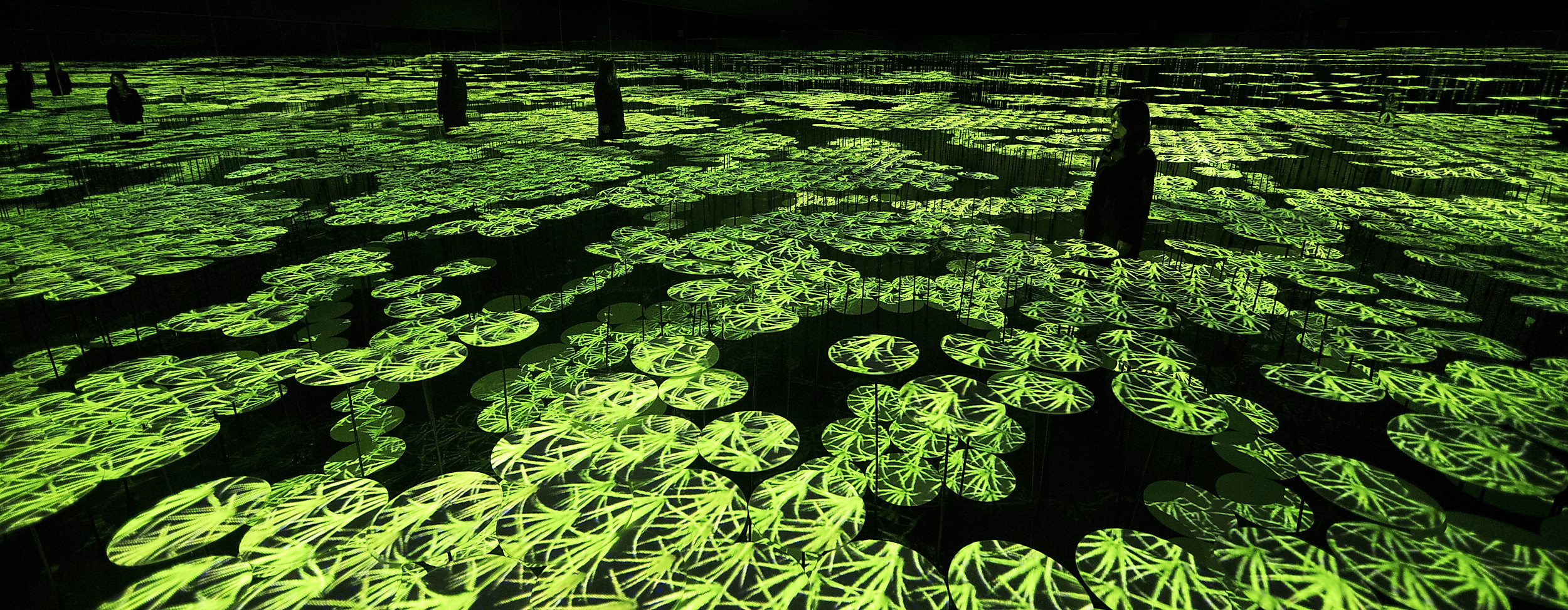 digital-art-museum_memory-of-topography_c-2021_teamlab