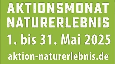 Brennnesseln - die unterschätzten Wunderpflanzen