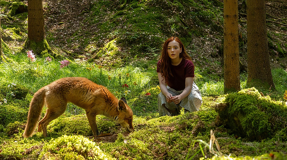 Kino: Ein Mädchen namens Willow