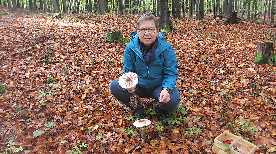 Foto-Pilzführung-Ulrike-Öhler