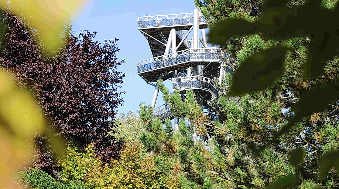 DGT 5 © DIE GARTEN TULLN_A. Buchinger