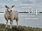 Sturm ist erst wenn die Schafe keine Locken mehr haben.