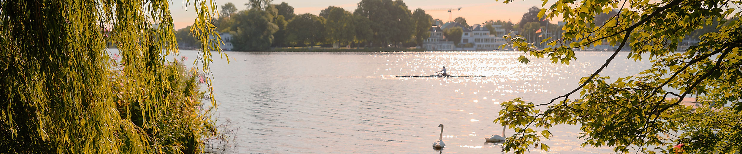 Alsterwiese in Hamburg