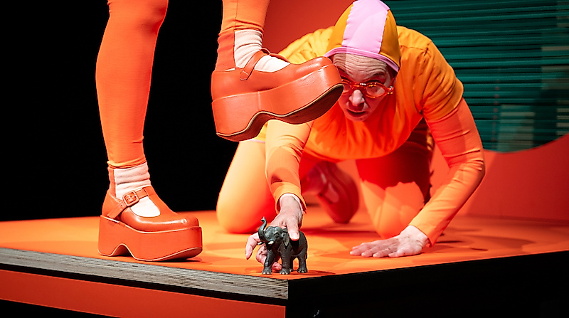 Wohin mit dem Elefanten? - Ein Spiel ohne Worte auf kleinstem Raum