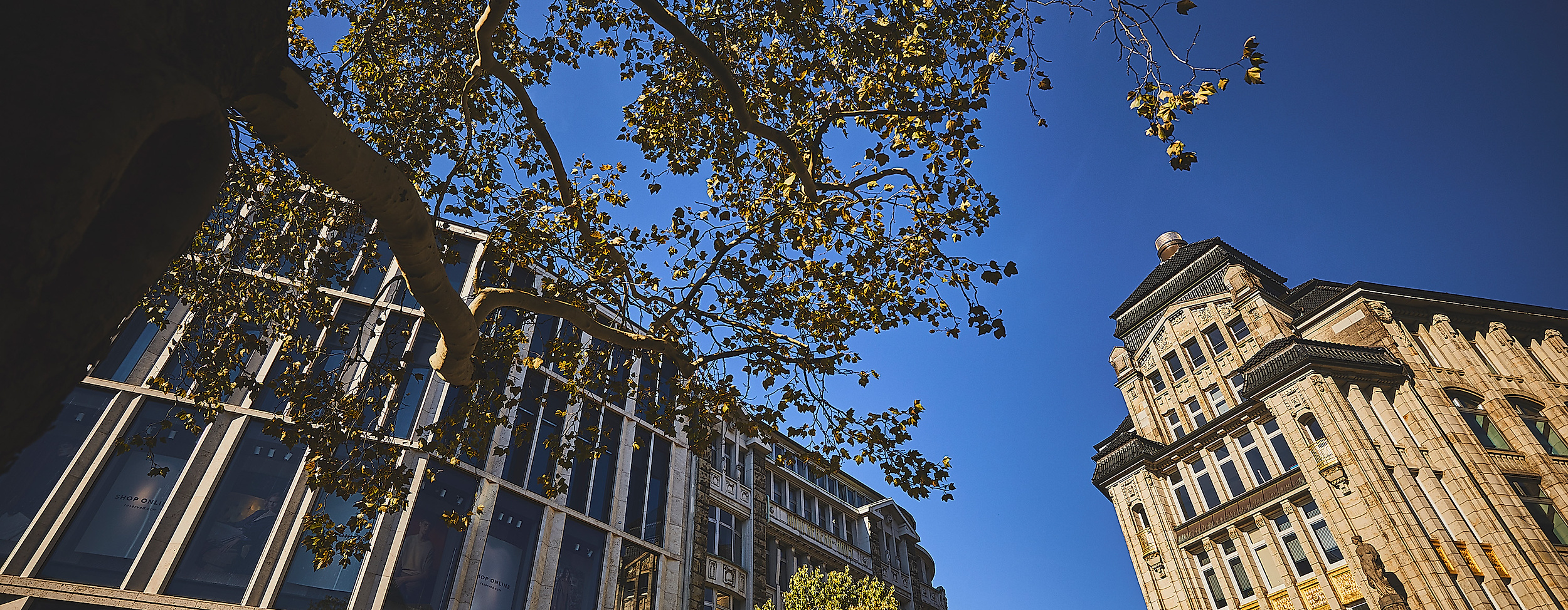 spitalerstrasse_c-2018-thisisjulia-photography-2