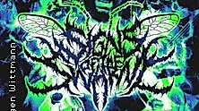 Signs Of The Swarm