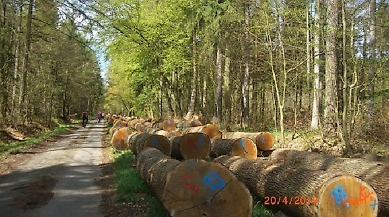 Geführte Fahrradtour mit der Urlaubsregion Ebstorf e.V.