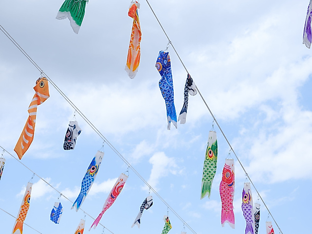 Deutsch-Japanische Gesellschaft zu Hamburg e.V.