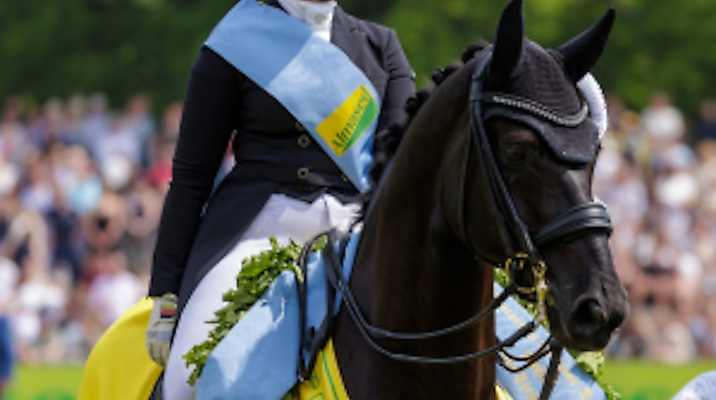 Tageskarte Donnerstag Dressur