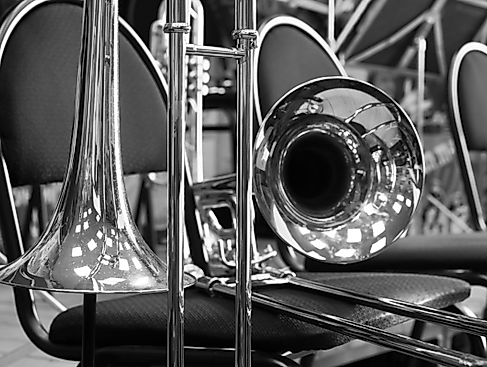 Ensemble Night