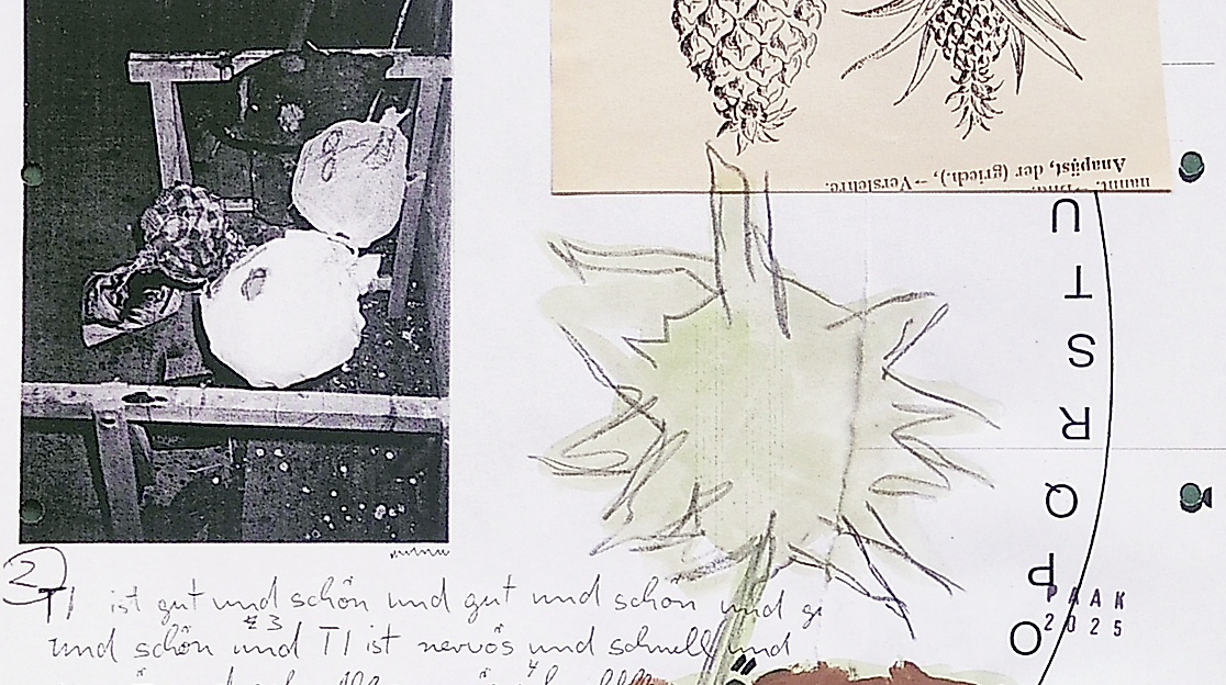 PAAK 1731 Colage Zeichnung auf Papier 2025 30x30cm