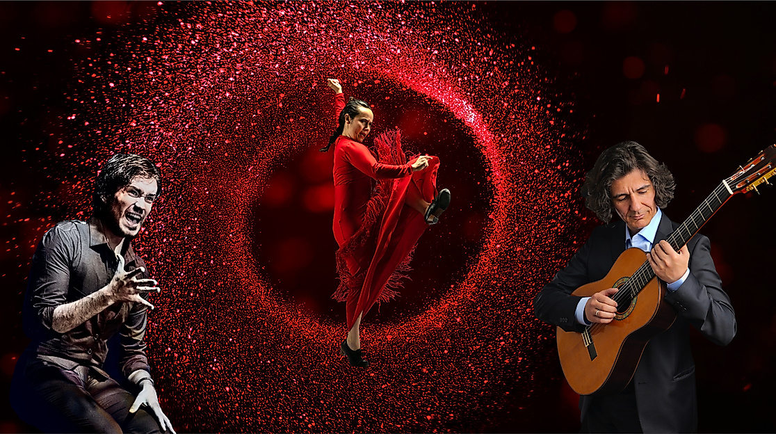Flamenco-Performance im roten Glanz