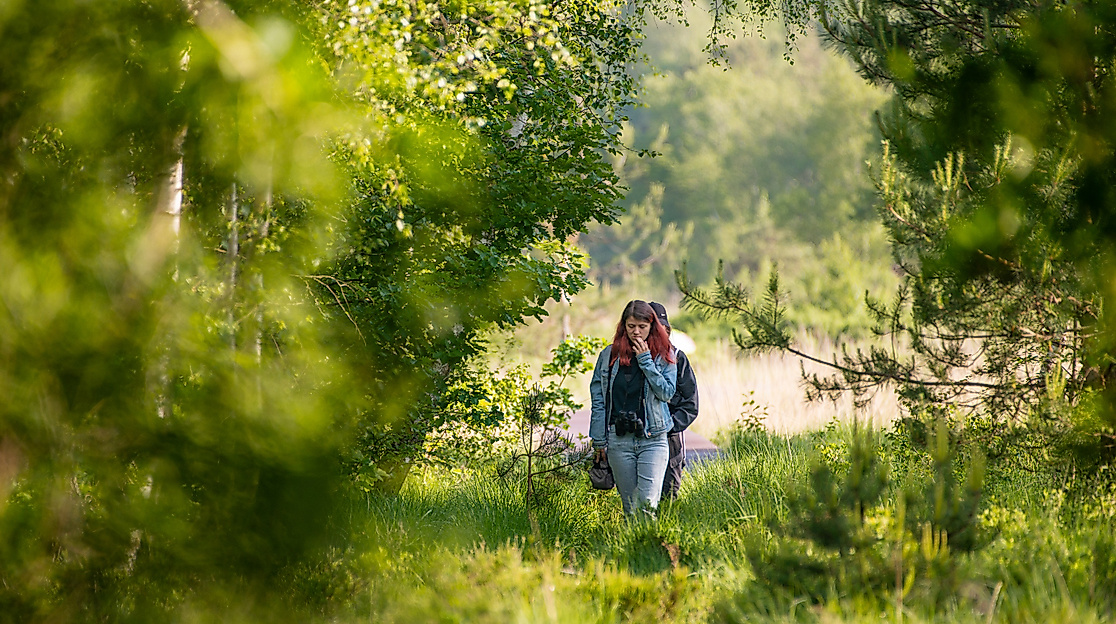 Ahlenmoorwanderung