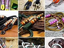 Hundeleine & - Halsband selbst erstellen