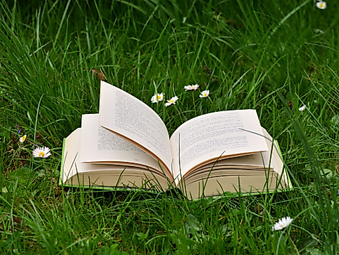 offenes Buch auf einer Weise