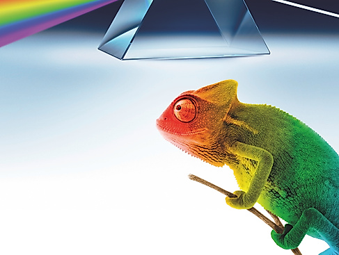 Grafik: Carl Bosch Museum Heidelberg