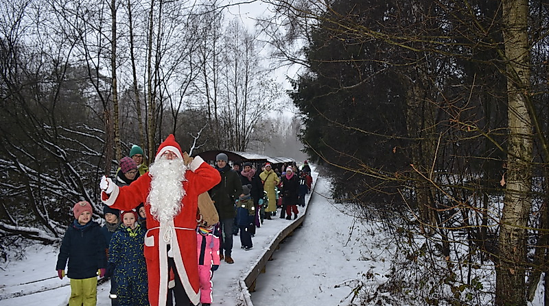 Kranichfahrt mit der Moorbahn ins Tister Bauernmoor
