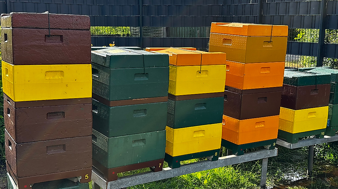 Bienenstand