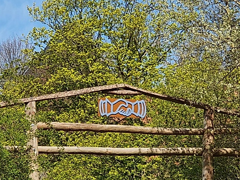 Pfadfinder-Gottesdienst