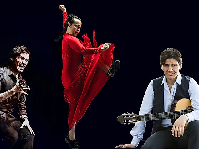 flamenco 2025 (c) fidel menendes_dancephotografilm BRump