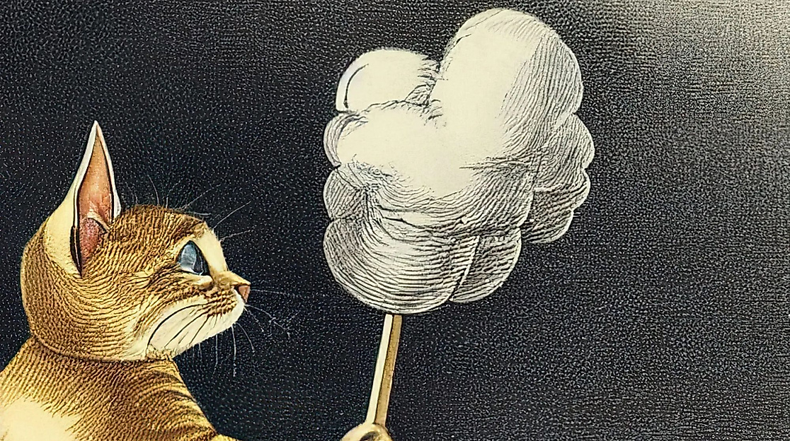 Cat in the Clouds