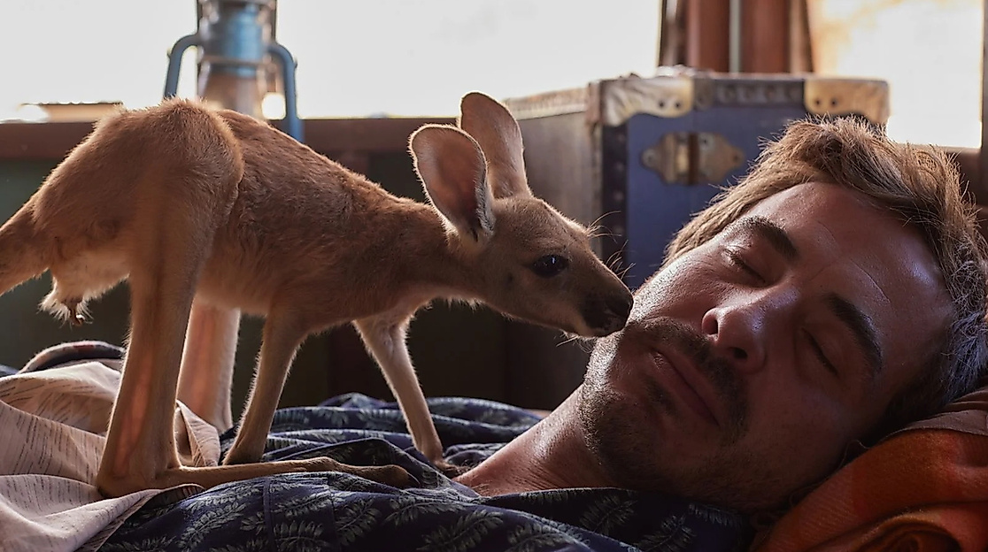 Lilly und die Kängurus