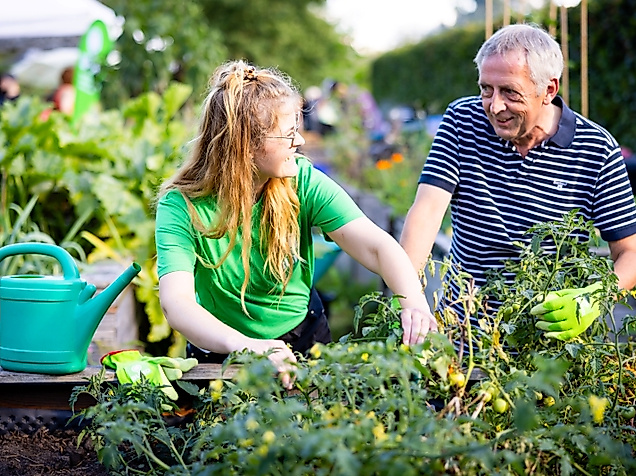 Hochbeet BUND HH Joerg Farys