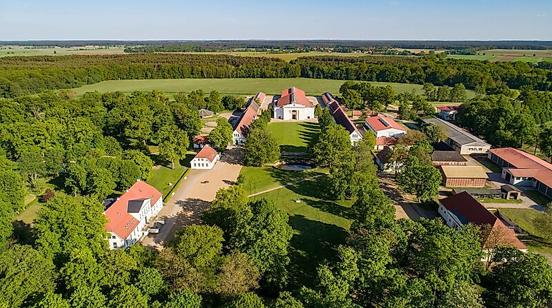 Führung über das Landgestüt Redefin - Erleben Sie das Landgestüt Redefin bei einer geführten Besichtigung (ES)
