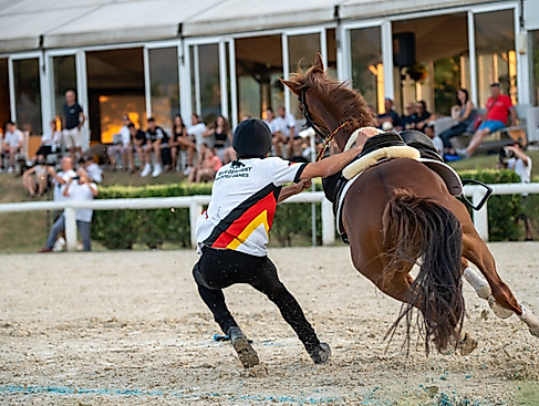 Mounted Games Welteinzelmeisterschaft 2026 in Luhmühlen