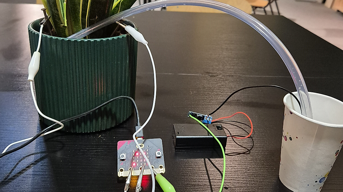 20250802-Fröhliche-Pflanzen-mit-microbit