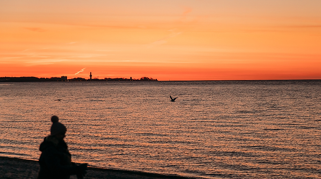 Erster Kaffee des Tages 2022© www.luebecker-bucht-ostsee_3