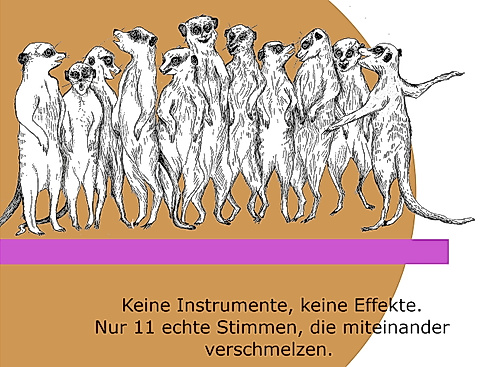 Konzert mit CANTANDO in der Lutherkirche