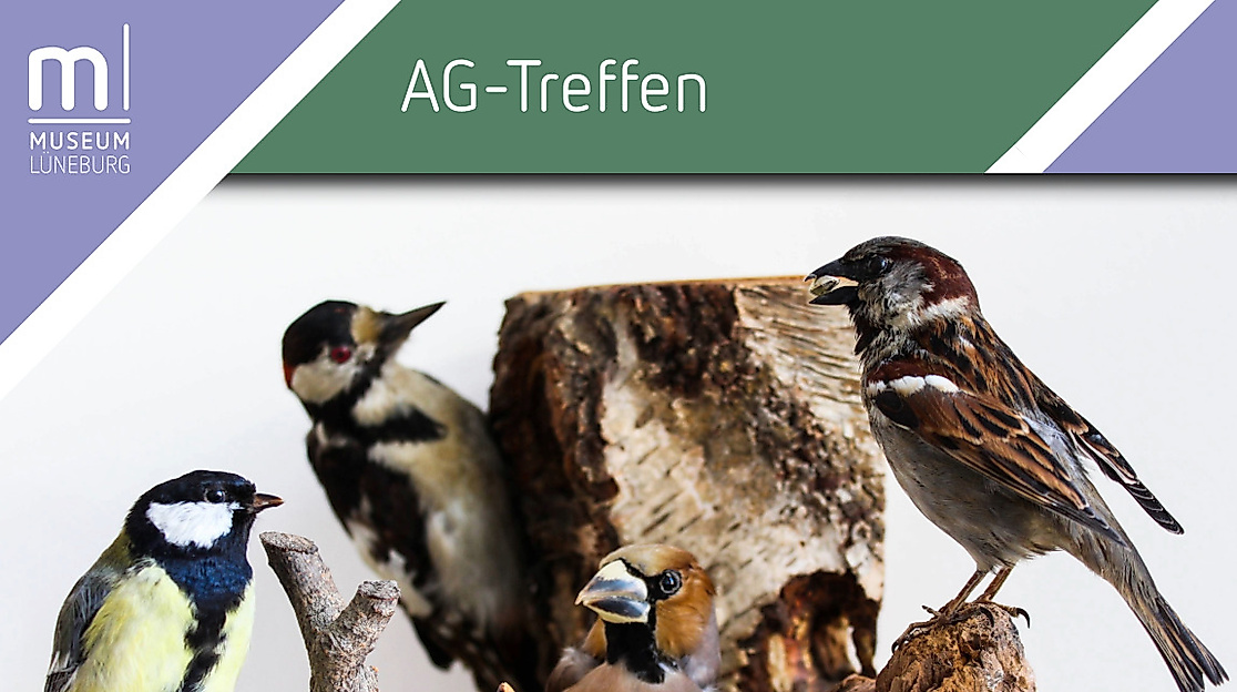 Treffen der AG Vogelkunde