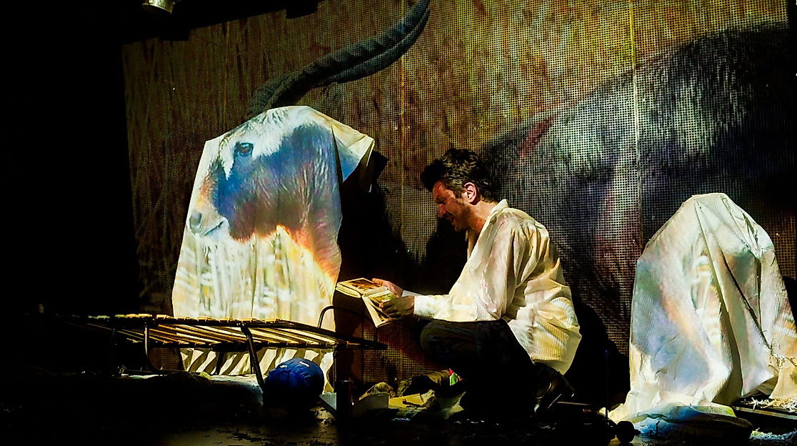 awkward_conversations_with_animals_i_ve_f_cked_10_c_lennart_bendixen