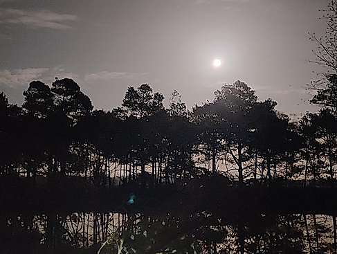 Vollmondwanderung im Pietzmoor