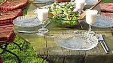 Wildkräuterkurs