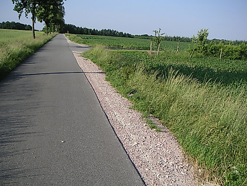 Radtour für Menschen mit und ohne Behinderung