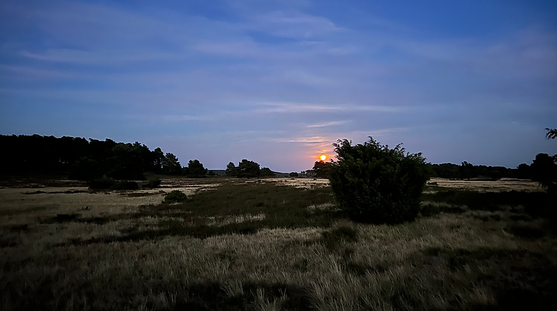 Naturpark-Erlebniswochen: Vollmondwanderung in der Weseler Heide
