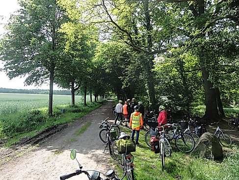 Spargeltour