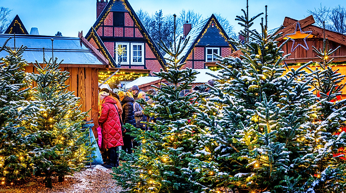 864489258432ERC___Selected