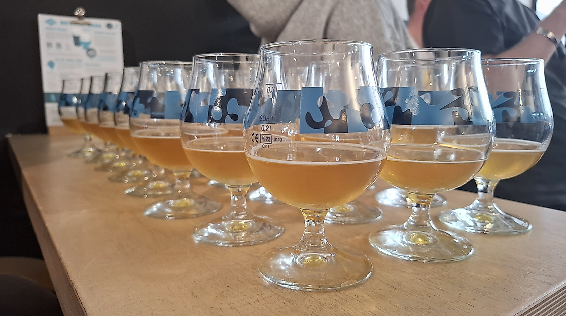 Ein Sud für Hamburg - das neu gebraute Bohemian Hopsody Dry Hop Lager aus Hamburg